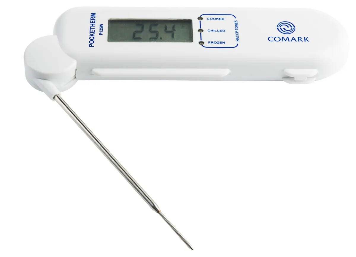 Bild von Einstech-Klappthermometer