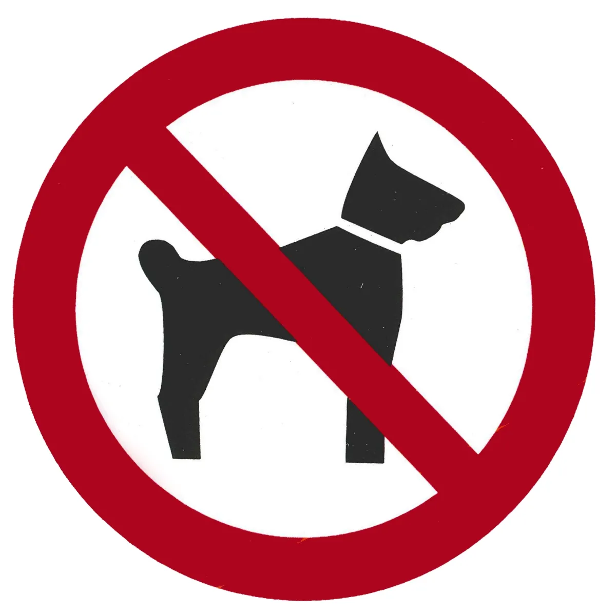 Bild von Schild "Hundeverbot / Hunde verboten"  